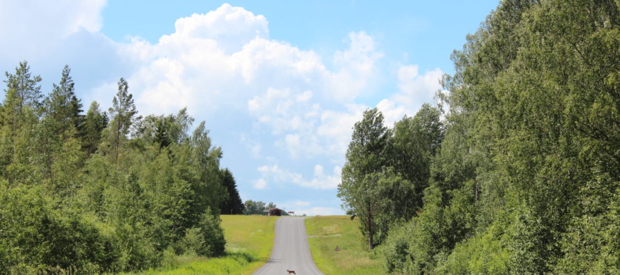 Helena-Reet: Semester (del 2) – Ruudiküla i Viljandi